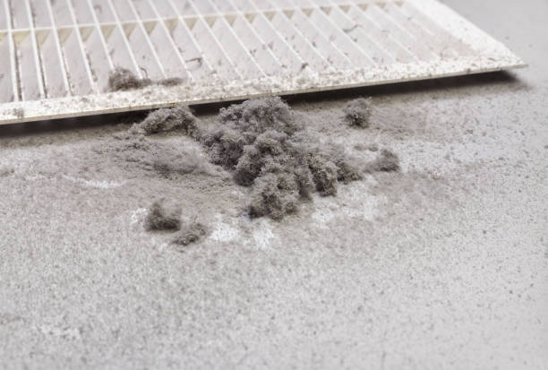 Best Affordable Air Duct Cleaning  in East Franklin, NJ